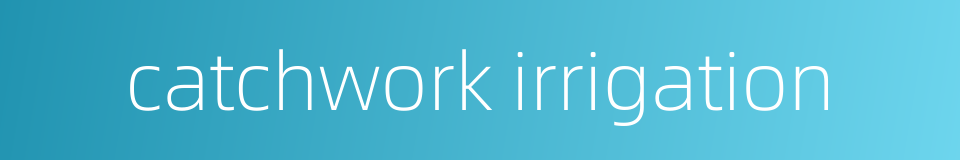 catchwork irrigation的同义词