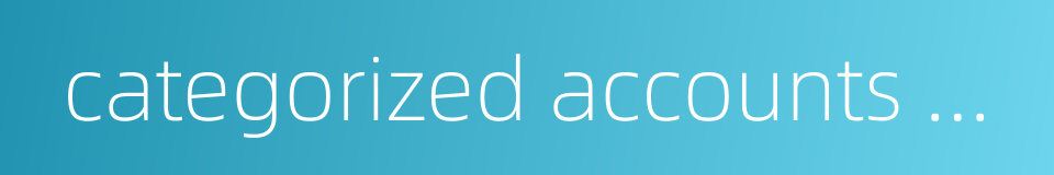 categorized accounts summary的同义词