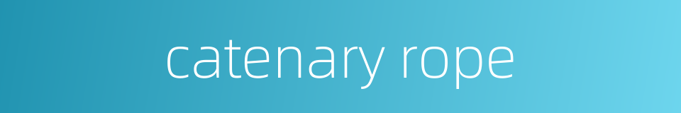 catenary rope的同义词