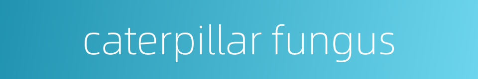caterpillar fungus的同义词