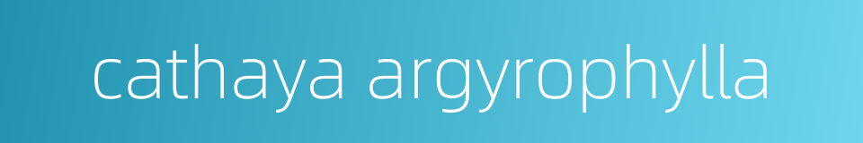 cathaya argyrophylla的同义词