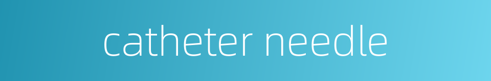 catheter needle的同义词