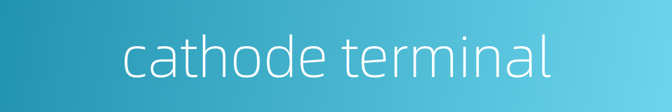 cathode terminal的同义词