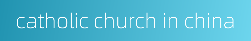 catholic church in china的同义词