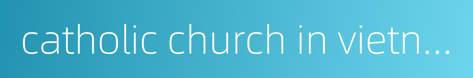 catholic church in vietnam的同义词