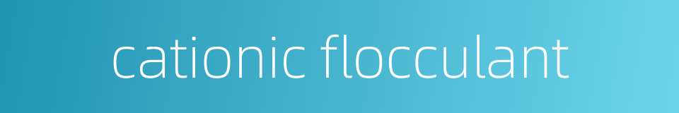 cationic flocculant的同义词