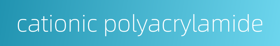 cationic polyacrylamide的同义词