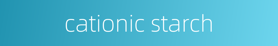 cationic starch的同义词