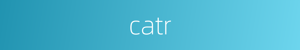 catr的同义词