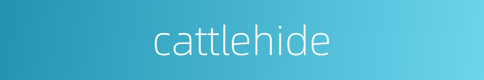 cattlehide的同义词