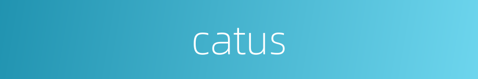 catus的同义词