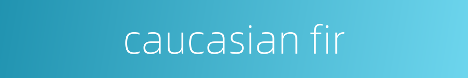 caucasian fir的同义词