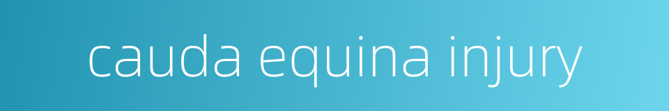 cauda equina injury的同义词