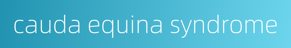 cauda equina syndrome的同义词