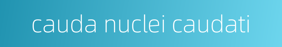 cauda nuclei caudati的同义词