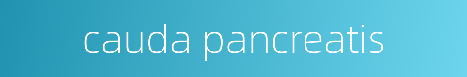 cauda pancreatis的同义词