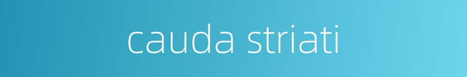 cauda striati的同义词