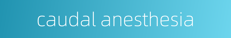 caudal anesthesia的同义词