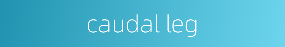 caudal leg的同义词
