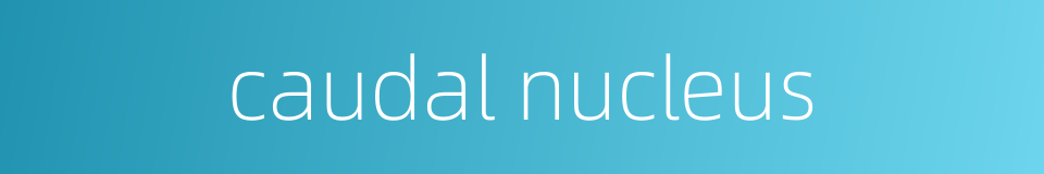 caudal nucleus的同义词