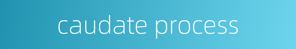 caudate process的同义词