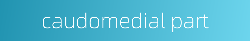 caudomedial part的同义词