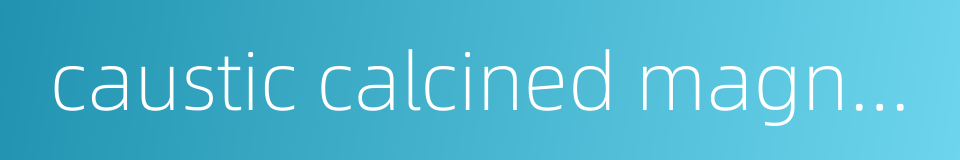 caustic calcined magnesite的同义词