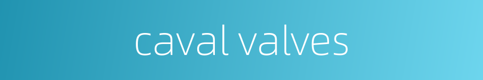caval valves的同义词