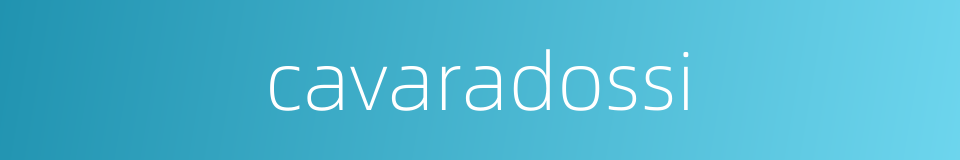 cavaradossi的同义词
