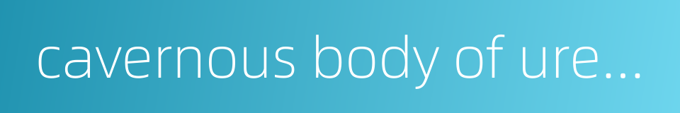 cavernous body of urethra的同义词