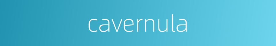 cavernula的同义词