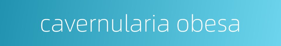 cavernularia obesa的同义词