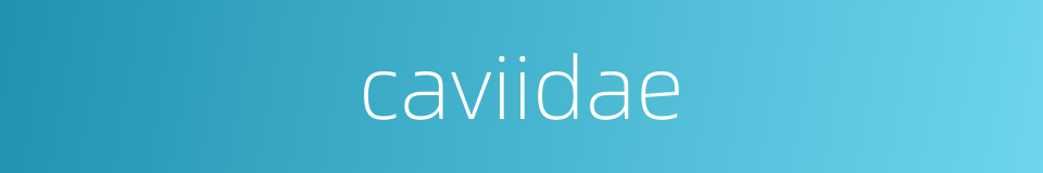 caviidae的同义词