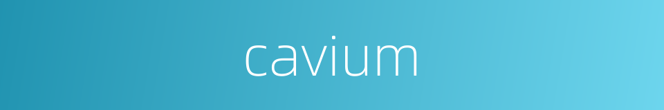 cavium的同义词