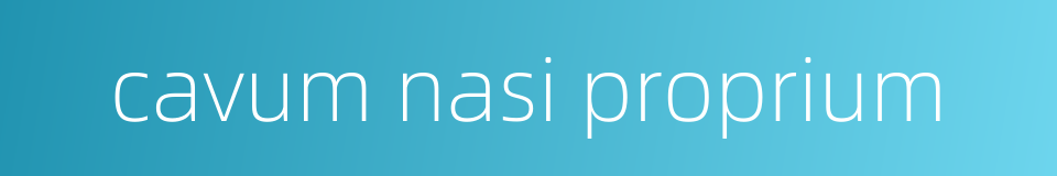 cavum nasi proprium的同义词