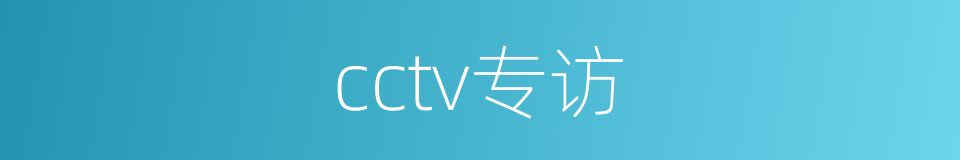 cctv专访的同义词