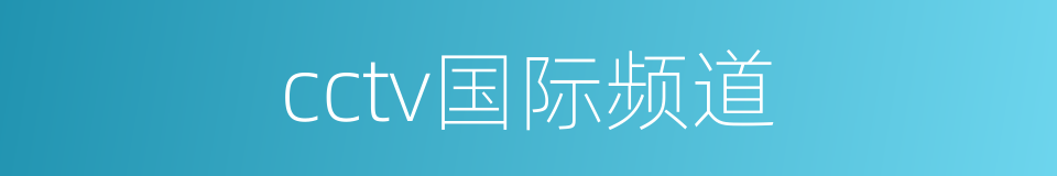 cctv国际频道的同义词