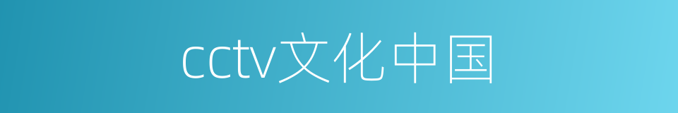 cctv文化中国的同义词