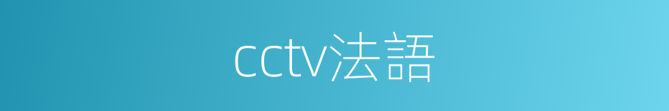 cctv法語的同義詞