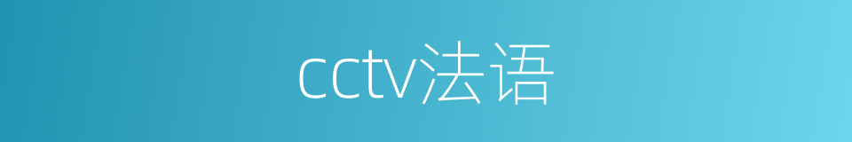 cctv法语的同义词