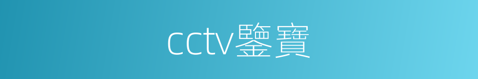 cctv鑒寶的同義詞