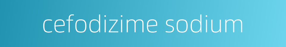 cefodizime sodium的同义词