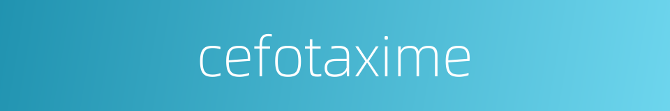 cefotaxime的同义词