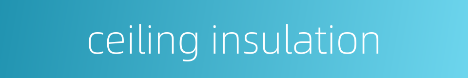 ceiling insulation的同义词