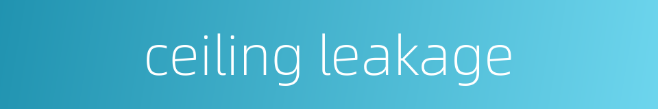 ceiling leakage的同义词