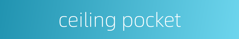 ceiling pocket的同义词