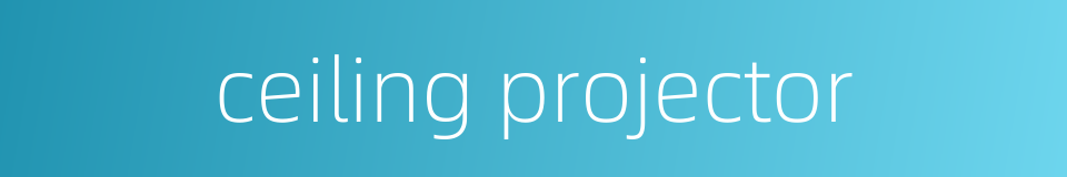 ceiling projector的同义词