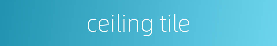 ceiling tile的同义词