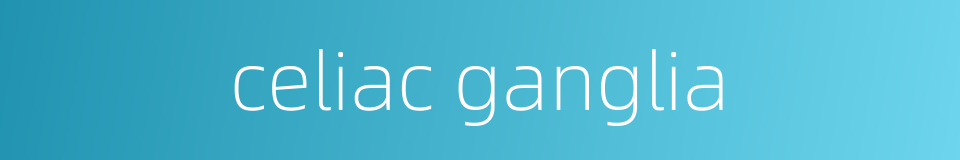 celiac ganglia的同义词