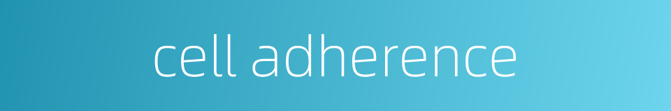 cell adherence的同义词